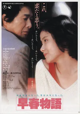 星辰双翼·剧场版 2024